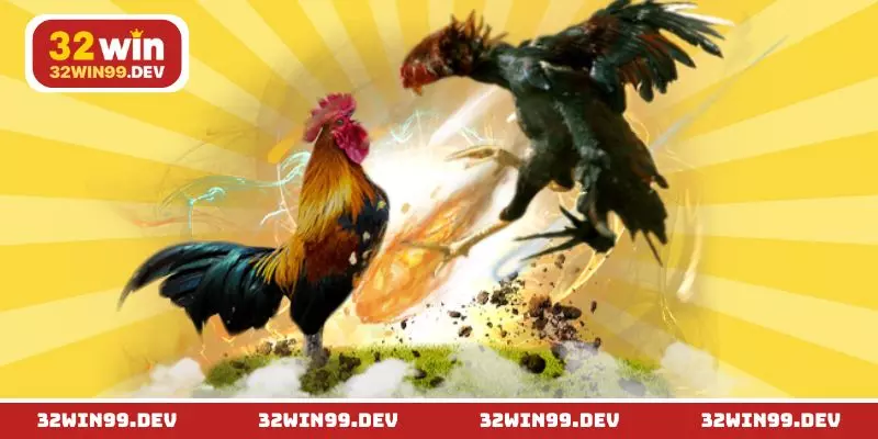 Hai sảnh cược đá gà 32WIN đình đám hiện nay
