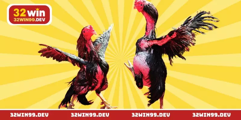 Luật chơi cơ bản dành cho người mới trải nghiệm lần đầu